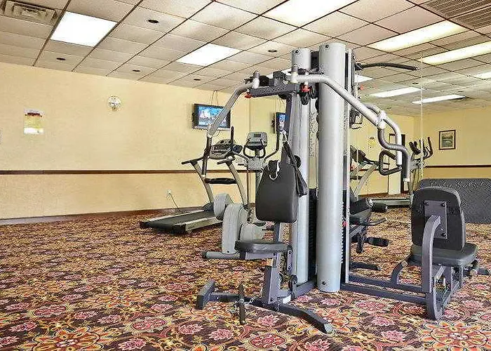 Western Airport Hotel 3*